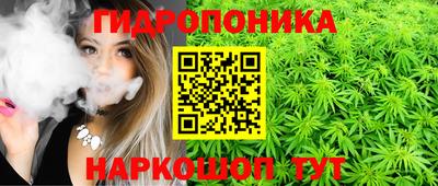 крисы Беслан
