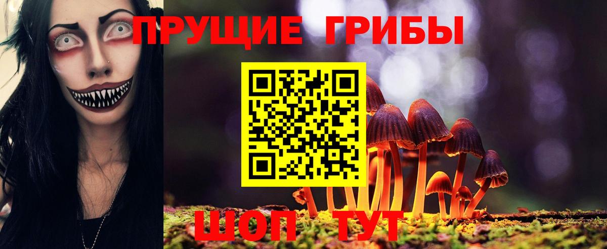 Псилоцибиновые грибы Cubensis  магазин продажи наркотиков  Волгодонск  Вход с VPN 